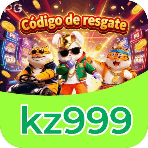 Métodos de pagamento aceitos na kz999